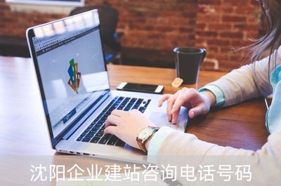 沈陽企業建站咨詢與網絡技術開發服務指南